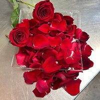 Flower Subscription 2